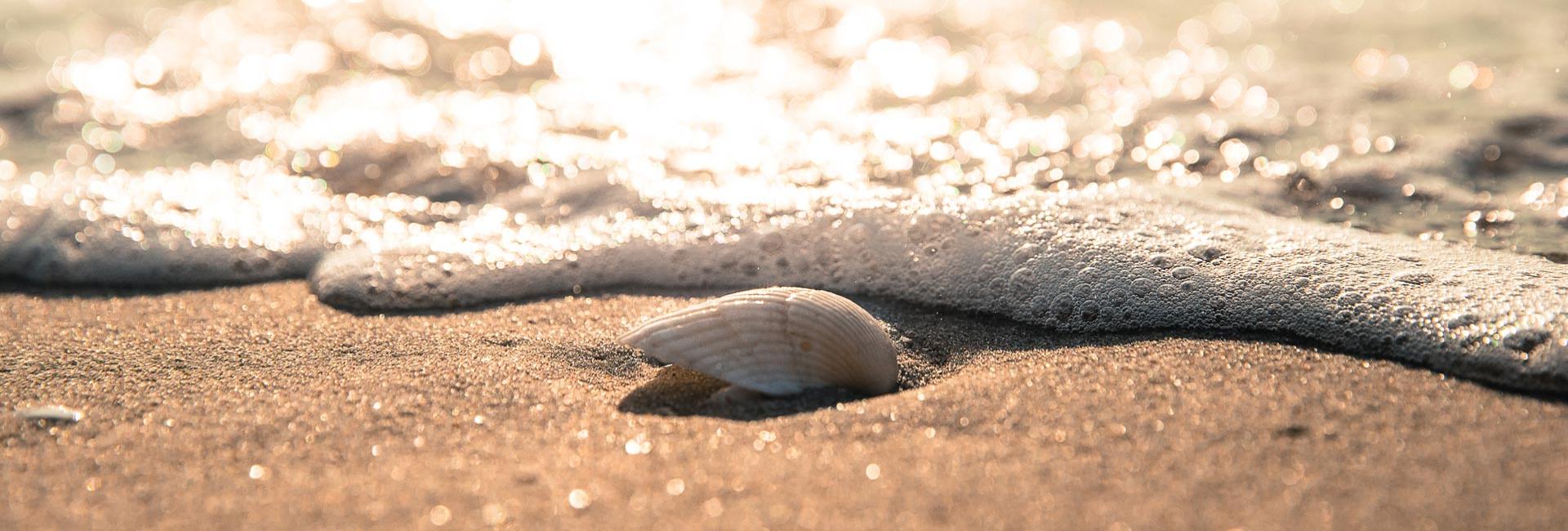 colorhotelrimini it offerta-early-booking-estate-rimini 001