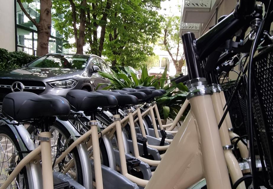 Biciclette beige allineate, auto di lusso, alberi e natura rigogliosa.